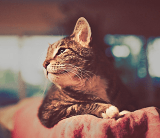 不銹鋼材料的周期性漲跌