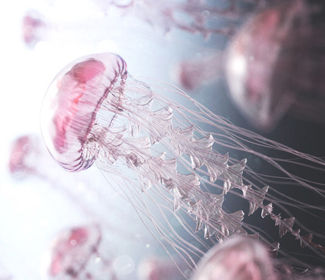 重慶精密鈑金加工廠成本解析